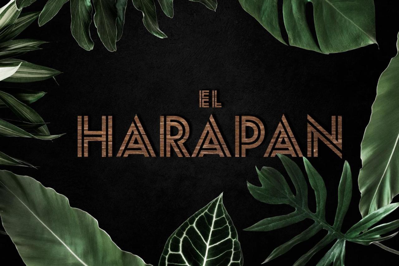 El Harapan - Sumergete En Una Selva A Pie De Playa - Grupo Querbes Gijon Ngoại thất bức ảnh